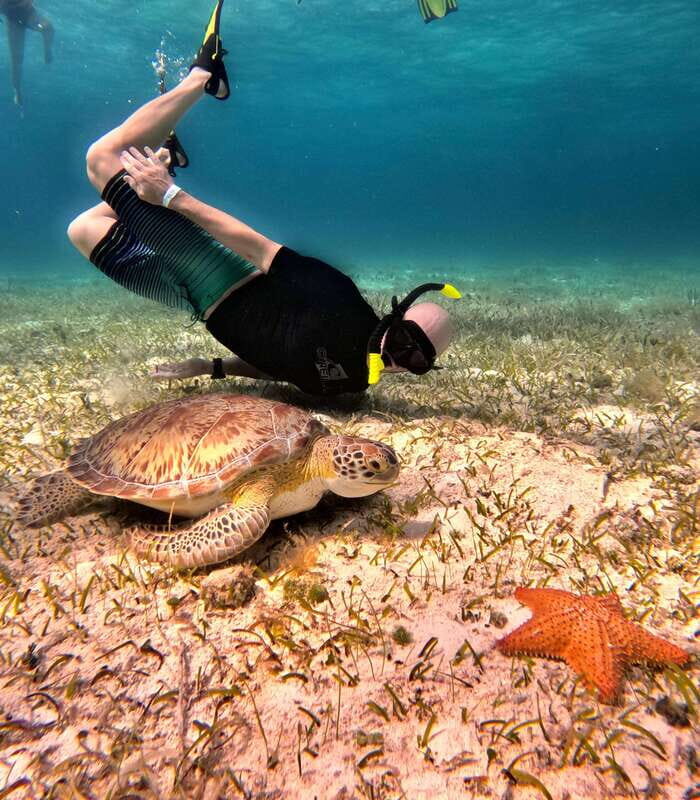 The Cozumel Turtle Sanctuary Snorkel Tour - The Sum Up