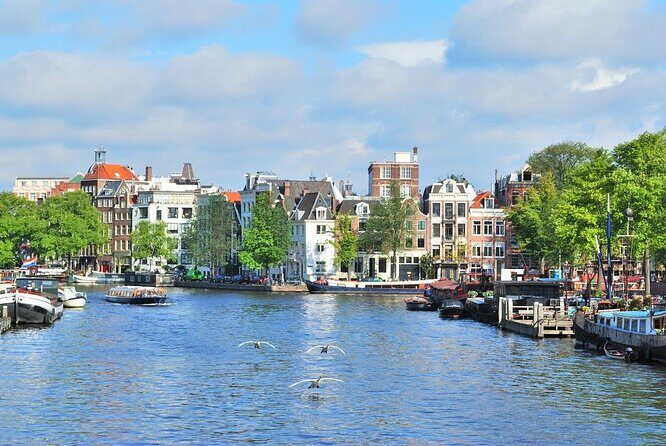The Cozy and Fun Canal Tour - The Cozy and Fun Canal Tour: A Close-Up View of Amsterdam’s Iconic Waterways