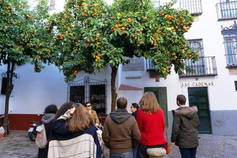 The Cultures of Seville Walking Tour - Final Thoughts