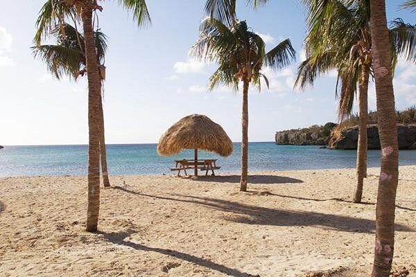 The Curacao Full Day Private Tour Experience - Exploring Curacao with a Private Guide