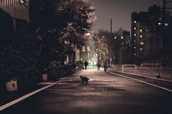 The Dark Side of Osaka Walking Tour - Practical Details & Tips