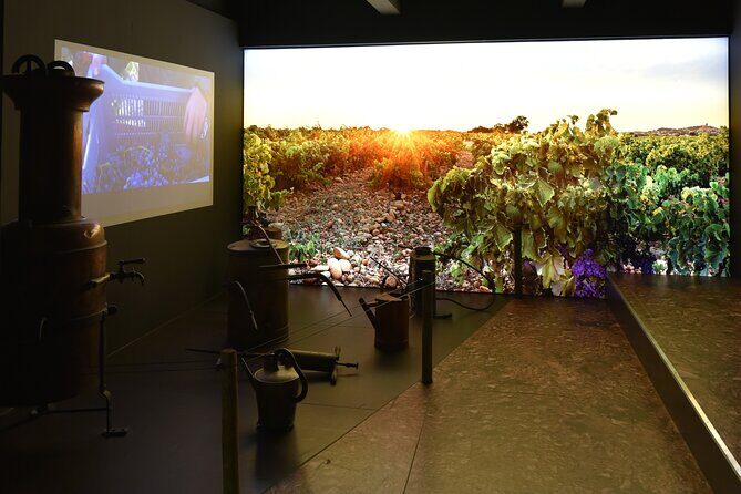 The discovery trail at Maison Brotte - FAQ