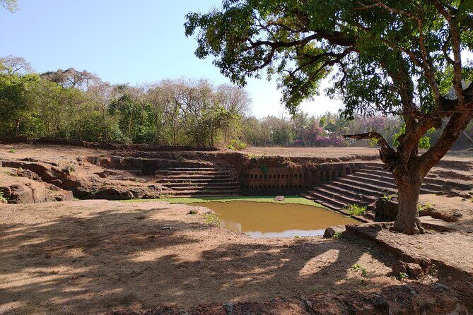 The Divar Island Exploration - Why Choose This Tour?