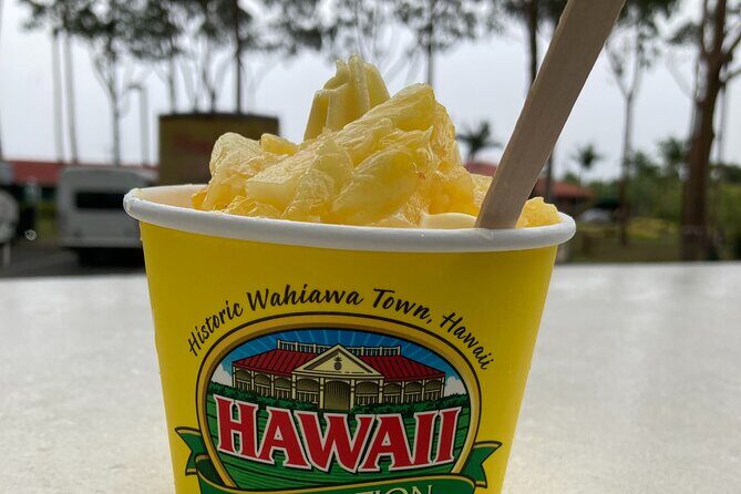 "The Dole Plantation" & "North Shore" Private Limousine VIP Tour! - Final Thoughts: Is This the Tour for You?