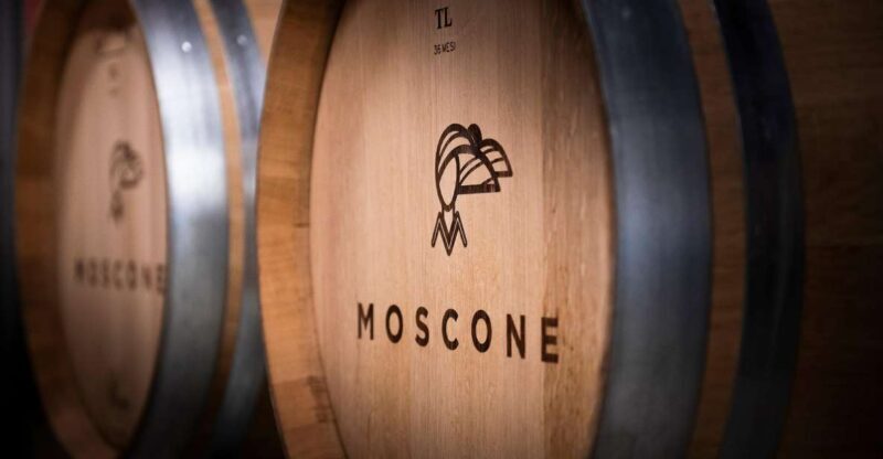 The Dosman: Winetasting in La Morra - Who Should Consider This Tour?