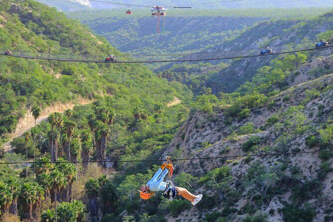 The Dual Experience Combo - The Dual Experience Combo: A Perfect Mix of Adventure and Nature in Cabo San Lucas