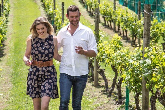 The Essence of Waiheke Wine Tour - An In-Depth Look at the Waiheke Wine Tour