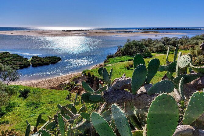 The Essential Algarve Relocation Tour! - Who Should Consider This Tour?