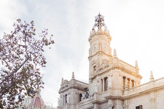 The Essentials of Valencia in a Guided Tour - Exploring Valencia in 90 Minutes: What to Expect