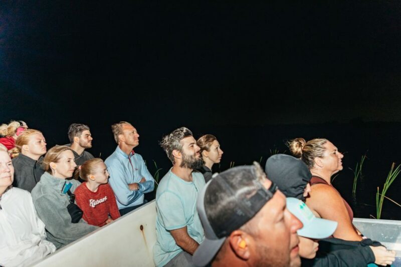 The Everglades: 1-Hour Airboat Night Tour - Authentic Perspectives from Past Visitors