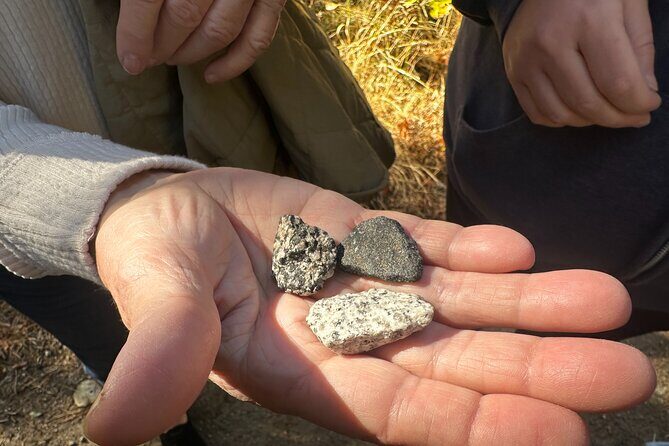 The Evolution of Yosemite 3 Hour Walking Tour - Value and Considerations