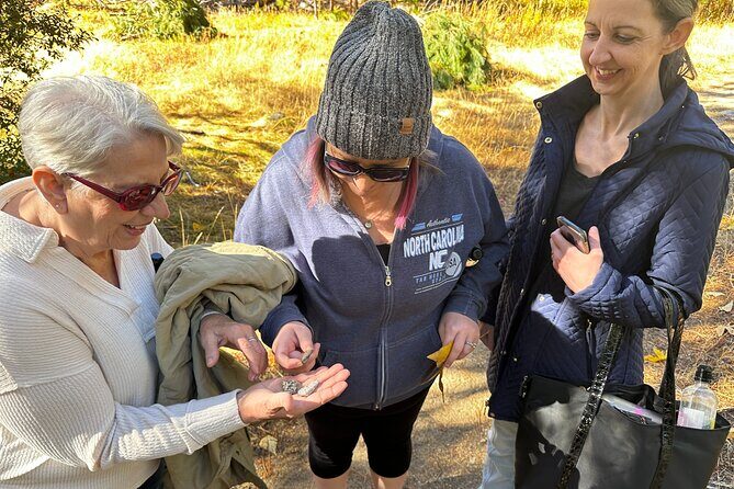 The Evolution of Yosemite 3 Hour Walking Tour - Summary of Who Will Love This Tour