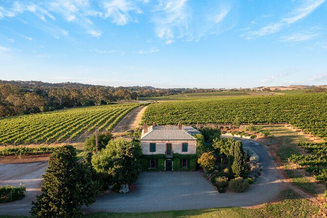 The Florita Wine Tasting Experience - Setting the Scene: Visiting Jim Barry Wines