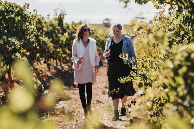 The Florita Wine Tasting Experience - What the Tour Includes and the Experience at the Winery