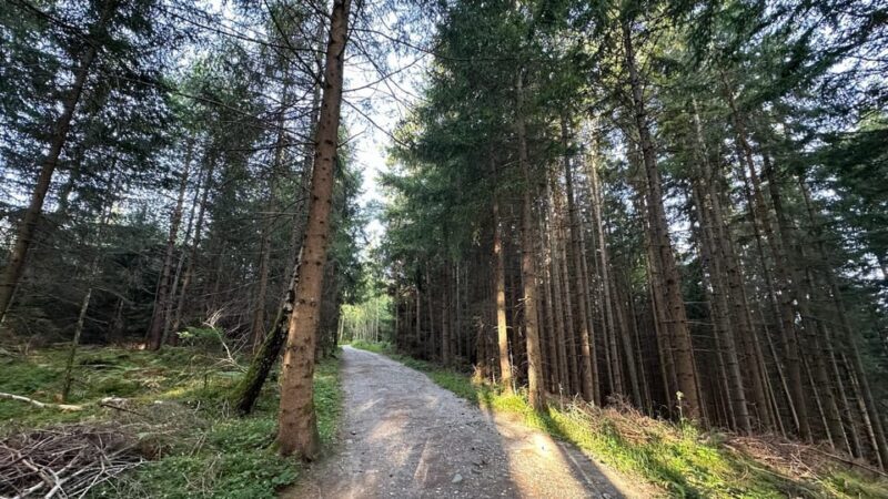 The forest as an Escape Room for the whole family - Why It’s a Great Value