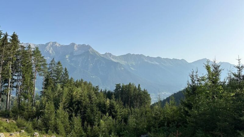 The forest as an Escape Room for the whole family - Practical Tips and Considerations