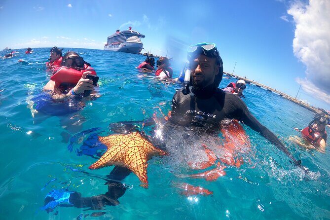 The Frederiksted St. Croix Sea Turtles Snorkeling Tour - Authentic Encounters and Real Reviews