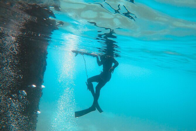 The Frederiksted St. Croix Sea Turtles Snorkeling Tour - Final Thoughts