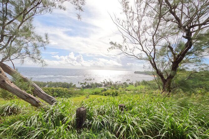 The Full Tour Lower East Coast Barbdos E-Bike Tour - Practical Details for Your Trip