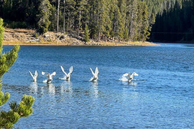 The Full Two Day Private Yellowstone Day Trips West Yellowstone - Final Thoughts