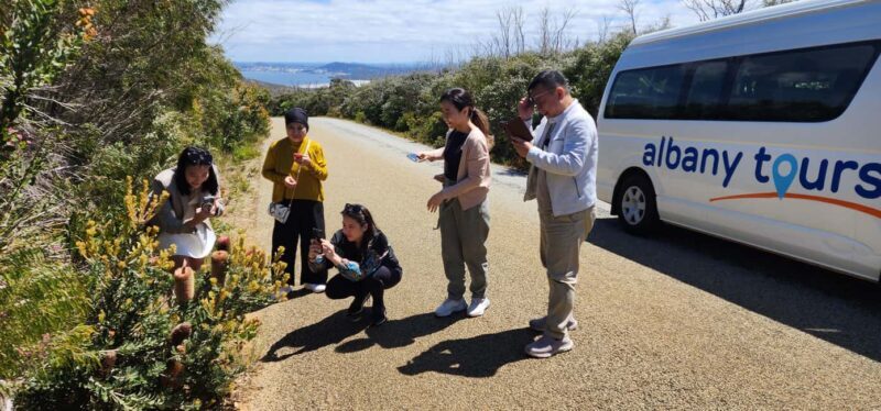 The Gap & Natural Wonders Tour - The Walks and Trails