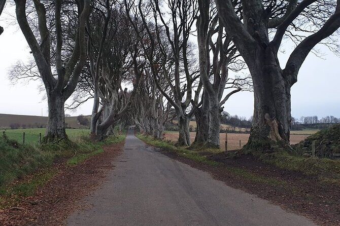 The Giant's Causeway, Dunluce Castel and Belfast - Spanish guide - Final Thoughts