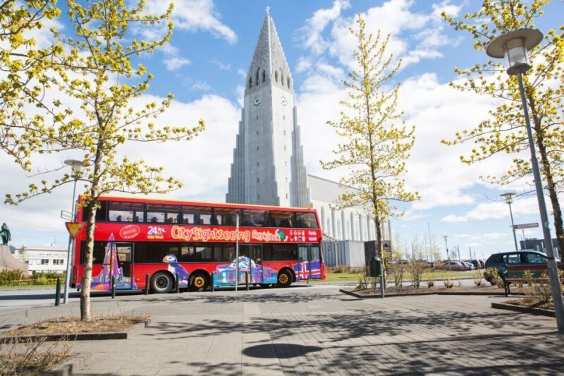 The Golden Circle & Hop On - Hop Off Combo Deal - Who Will Enjoy This Tour Most?