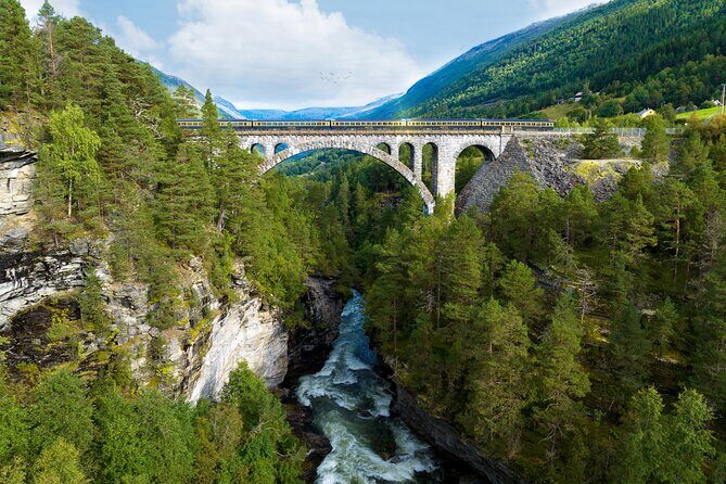 The Golden Train on Rauma Railway in Romsdalen - The Sum Up: Who Should Consider This Tour?