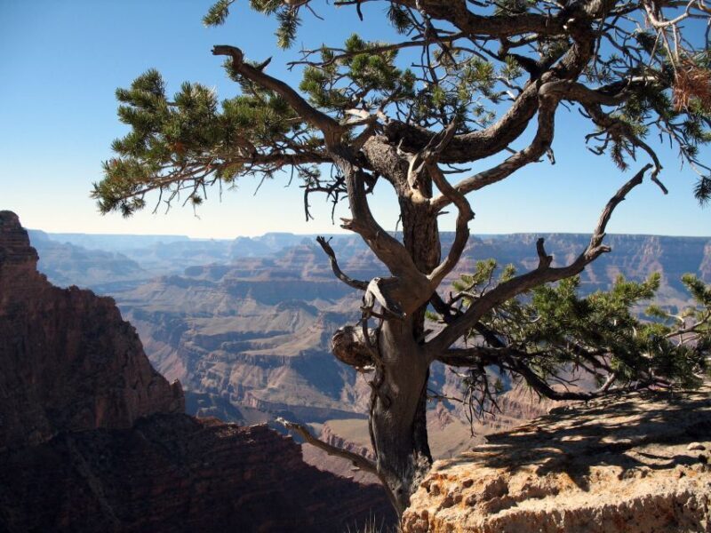 The Grand Canyon Classic Tour From Sedona, AZ - Visiting the Navajo Heritage: Cameron Trading Post