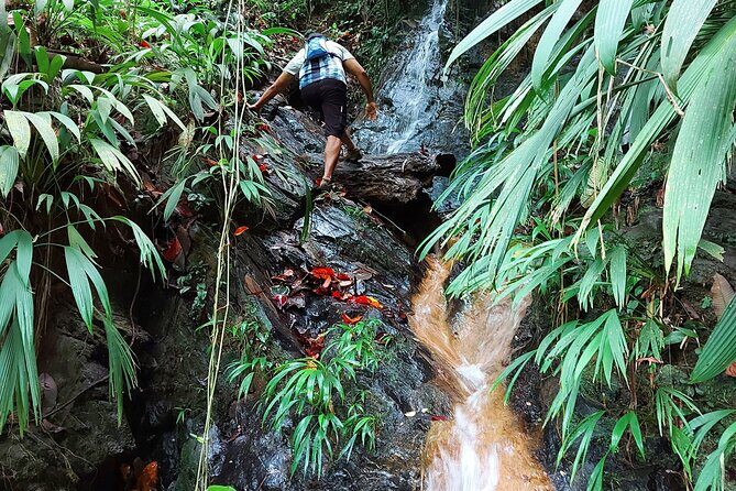 The Grand Circle 24-Hour All-Inclusive Island Experience - The Nighttime Choice: Tailored Camping Experiences