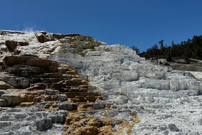 The Grand Yellowstone 3 day private experience from Cody Wyoming - Who is This Tour Best Suited For?