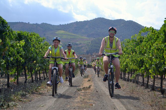 The Grape Escape! Cycling in Beautiful Scenery with Wine Tasting - Key Points