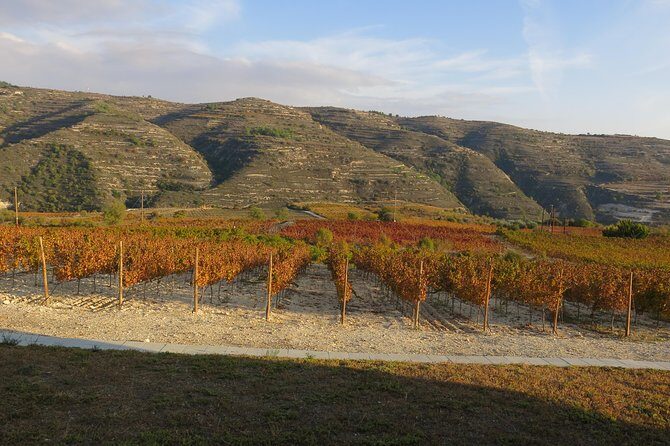 The Grape Escape: Troodos Mountains thru Wine Small Group Tour 6hrs - Food, Wine, and Local Hospitality