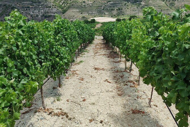 The Grape Escape: Troodos Mountains thru Wine Small Group Tour 6hrs - Authenticity and Value for Money