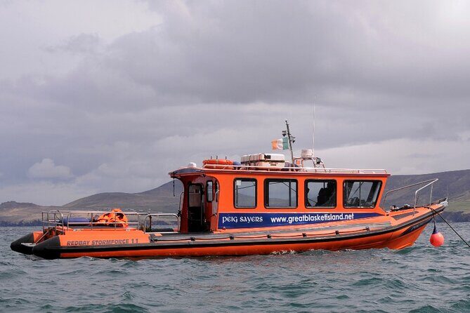 The Great Blasket Island Experience - Premium Tour - The Sum Up
