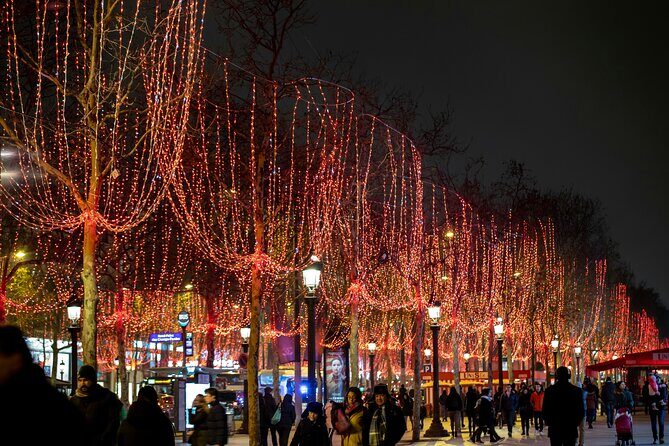 The Great March of Champs Elysees Paris Walking Tour - Who Should Consider This Tour?