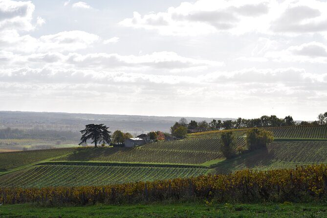 The Great Sauternes Wine Tour - FAQ