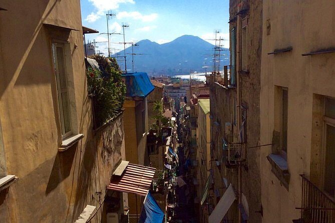 The Greatest Walking Tour of Naples: 4h with an Expert Guide - Who Will Love This Tour?
