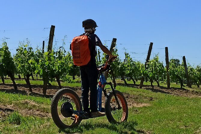 The greedy Rando Trotter of Theo - Detailed Review of the Rando Trotter Experience