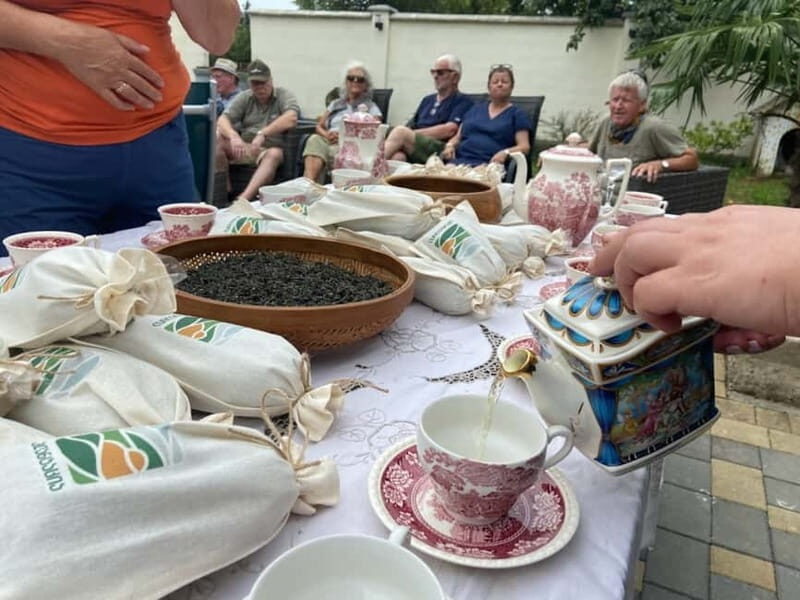 The Green Gold of Georgia - Tea Picking in Mountainous Landscapes