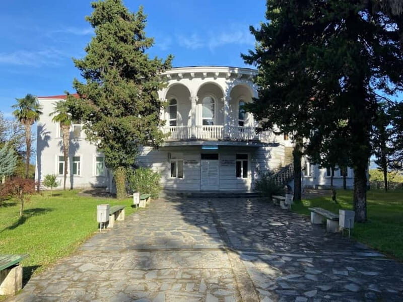 The Green Gold of Georgia - Gurian Cuisine and Family Dinner Experience