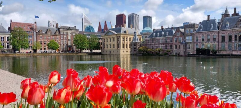 The Hague: History & Architecture Walk - Exploring The Hague: History & Architecture Walk