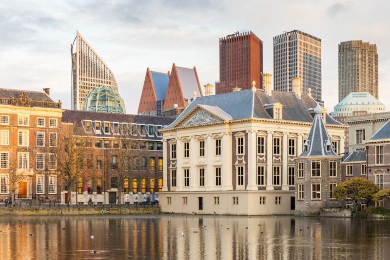 The Hague: Mauritshuis Entrance Ticket - The Sum Up