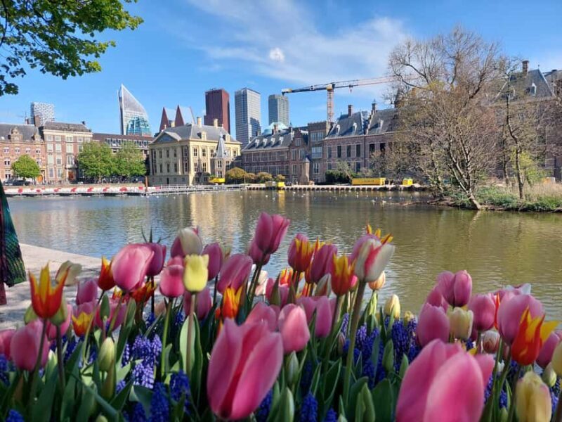 The Hague Private City Tour with an Architect - Exploring The Hague’s Architectural Heart