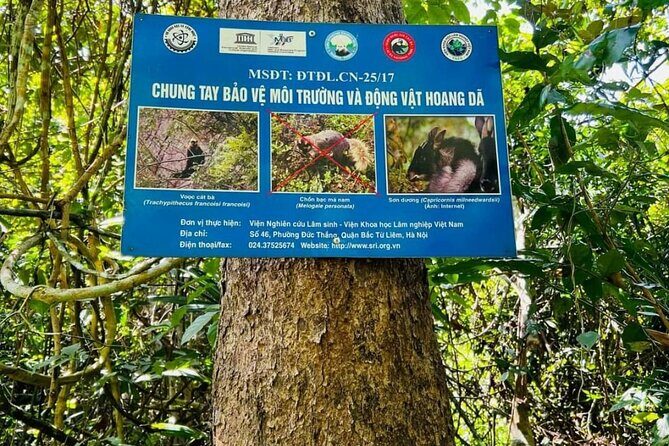 The Hidden Trails of Cat Ba - Discovering the Natural and Cultural Gems of Cat Ba