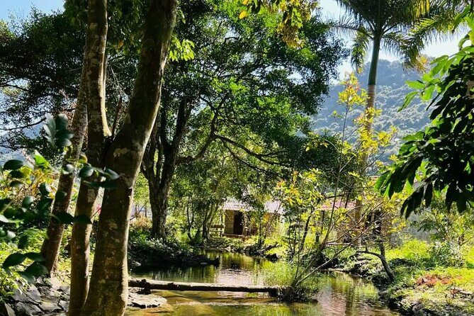 The Hidden Trails of Cat Ba - Visiting Viet Hai Village: A Slice of Authentic Rural Vietnam