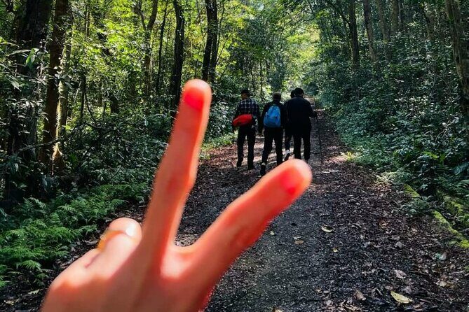 The Hidden Trails of Cat Ba - Highlights: Small-Group Intimacy and Natural Beauty