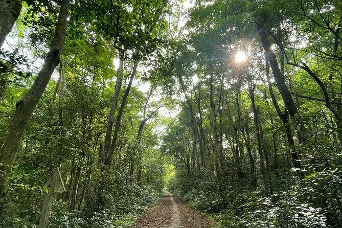 The Hidden Trails of Cat Ba - Practical Details and Considerations