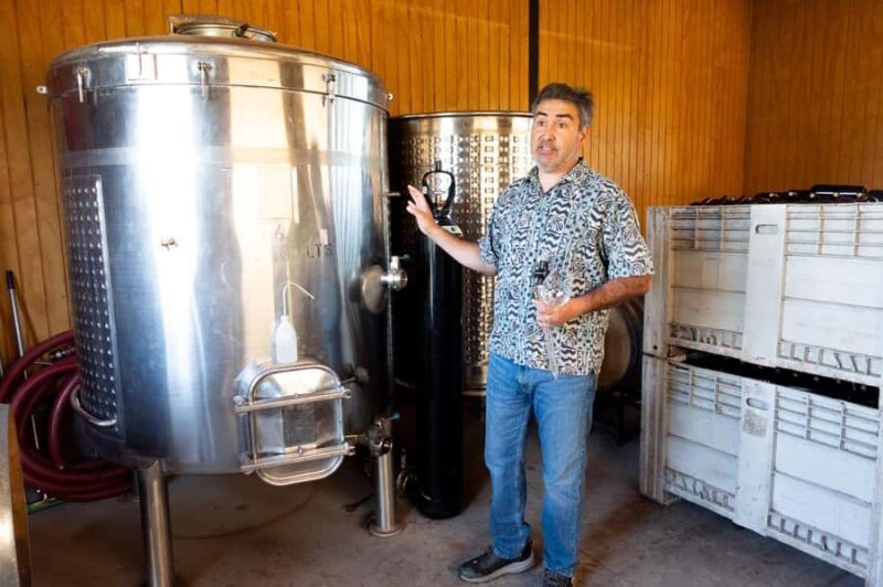 The hidden wineries of Maipo - Key Points