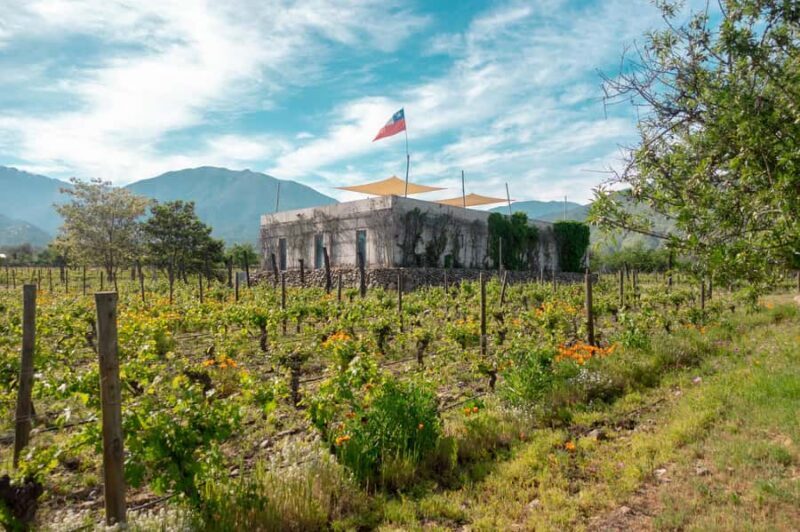 The hidden wineries of Maipo - What Makes the Wineries Special?